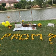 flowers and decorations are laid out on the grass in front of a lake for a celebration