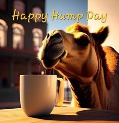 a camel drinking out of a coffee cup with the words happy hump day on it