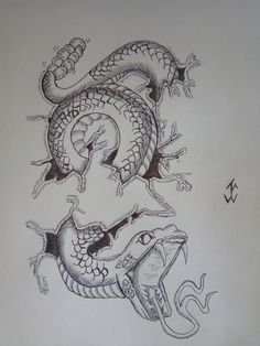 two lizards with their mouths open, one is biting the other's tail and another has