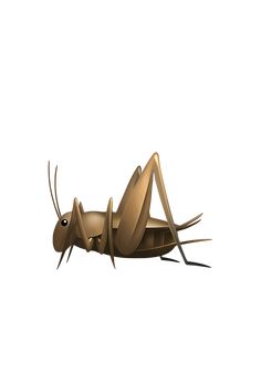 an image of a bug that is laying on its back with eyes closed and legs crossed