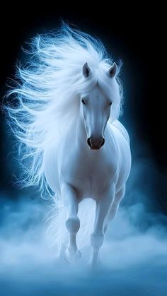 a white horse with long hair running through the air