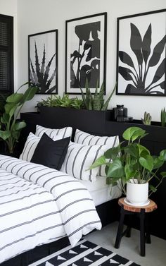 a bedroom with black and white bedding, potted plants and pictures on the wall