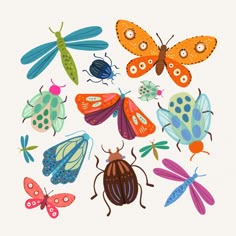 colorful bugs and insects on a white background