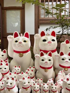 a group of white cats sitting next to each other in front of a tree and building