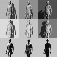multiple images of the human body in different positions and sizes, including male torsos