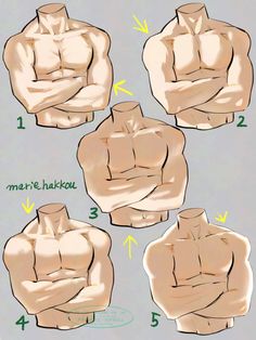 the instructions for how to draw a muscular man's torso and chest, with different angles
