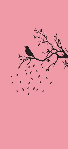 a black bird sitting on top of a tree branch with seeds falling from it's branches