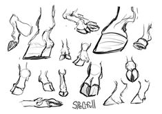 the legs and feet of a horse drawn by hand