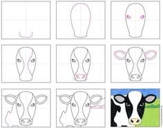 step by step instructions for how to draw a cow's head with different angles