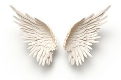 two white angel wings on a white background