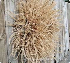 the plant is growing on the side of the wooden fence, it's brown and fuzzy