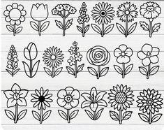 flowers and leaves are drawn on lined paper with black marker pens, along with the outlines for each flower