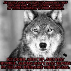 a wolf is shown with the caption's in black and white, which reads