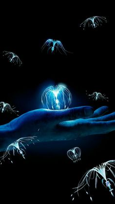 a person's hand holding a glowing heart in the middle of some flying birds