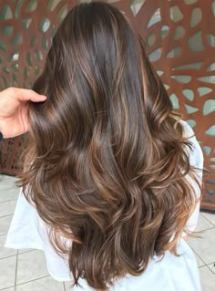 Milk Chocolate Brown Balayage, Highlights For Indian Hair, Streax Hair Color Highlights, Highlights Indian Hair, Indian Hair Color Highlights, Highlights On Indian Hair, Brown Highlights Indian Hair, Indian Hair Highlights Balayage, Indian Girl Highlights Hair