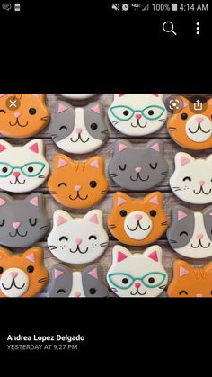 cookies decorated with cats and glasses are on display