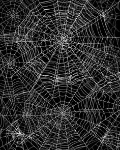 an abstract black and white spider web pattern