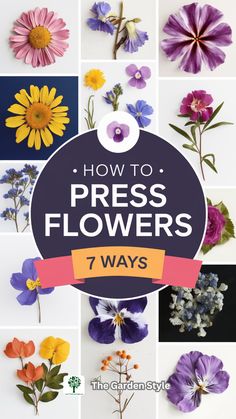 flowers with the words how to press flowers 7 ways in front of them and below
