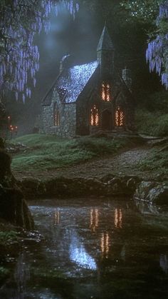 a small house sitting in the middle of a forest next to a lake at night