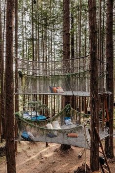 a suspended bed in the middle of a forest with lots of trees and other items