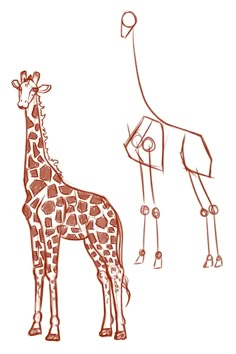 a giraffe standing next to a smaller giraffe on a white background