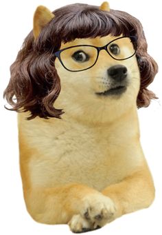 a dog wearing glasses and a wig