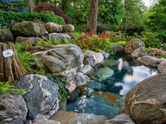 a small pond surrounded by rocks and plants