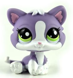 a small purple and white cat with big eyes