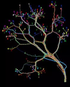 Neuron Network Drawing, Neuron Network Pictures, Neurons With Colorful Connections, Colorful Neuron Map, Colorful Neuron Art, Neuron Tree, Neuron Preamp, Colorful Neuron Visualization, Neuroscience Network Art