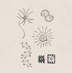 some drawings are shown in black and white