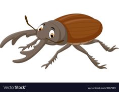 a cartoon bug with big eyes on a white background