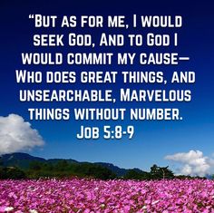 a field full of pink flowers with a bible verse