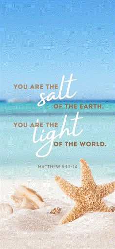 a starfish and seashells on the beach with a bible verse about salt of the earth you are the light of the world
