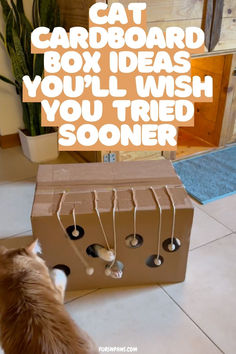 a cat playing with a cardboard box that has bells attached to it and the caption reads, cat cardboard box ideas you'll wish you tried soon