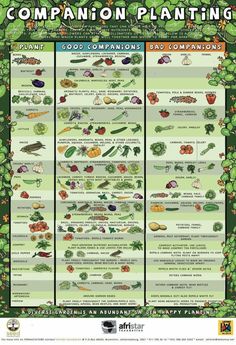 a poster showing the different types of plants