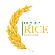 the organic rice logo is shown on a white background with an orange plant in the center