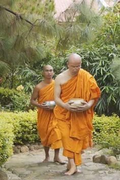 two men in orange robes are holding bowls and looking at each other as they walk through the garden