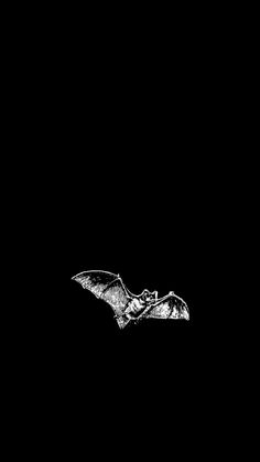 a black and white photo of a bat in the dark