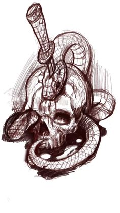 a drawing of a skull with a snake on it's head