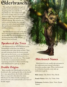 an image of the elderbranch character from elderbranch, which is featured in this