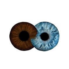 two blue and brown colored eyes are shown