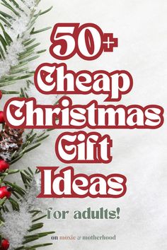 the words 50 cheap christmas gift ideas for adults on top of snow covered pine cones