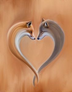 two foxes making a heart shape with their heads to each other in front of an orange background