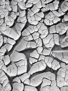 black and white photograph of cracked mud