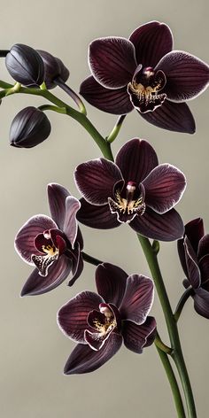 three purple orchids in a vase on a table
