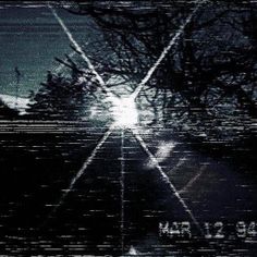 the sun is shining through some trees and it looks like they have been taken over