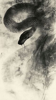 a black and white photo of a snake
