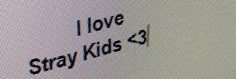 the words i love stray kids are displayed on a computer screen