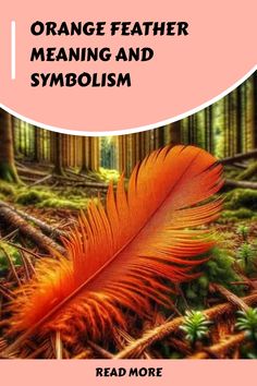 an orange feather sitting in the middle of a forest with text overlay that reads, orange father meaning and symbolism read more