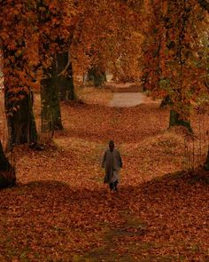 a person walking down a leaf covered path